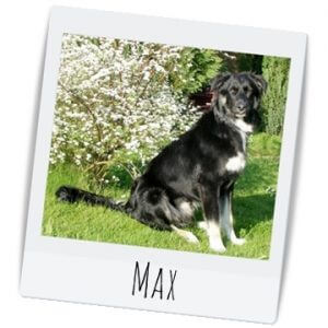 Unser Hund "Max"
