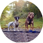 Lilli und Balu 