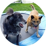 Sam und Boczy